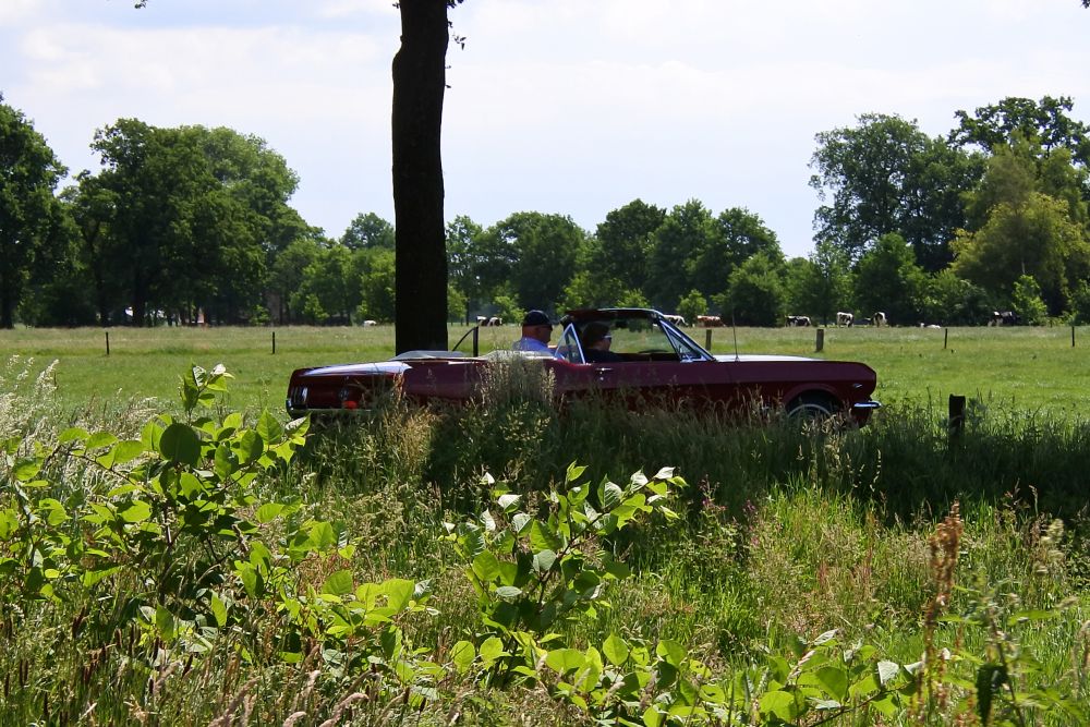 Oldtimerrit Geesteren 4 juni 2017 - 94
